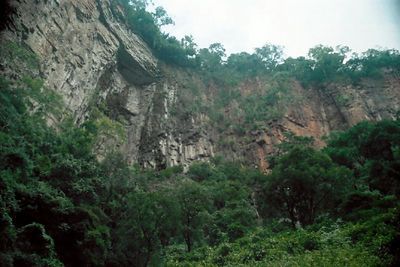 The plateau The plateau